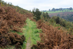 
Cwm Cyffin Quarry tramway, October 2010